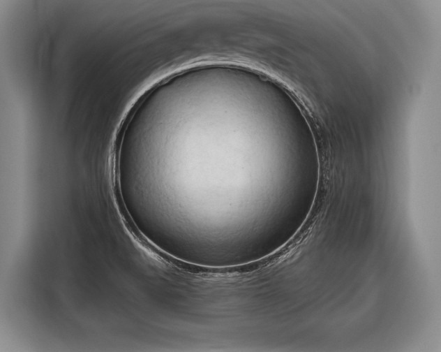 X0000116321519200912091009