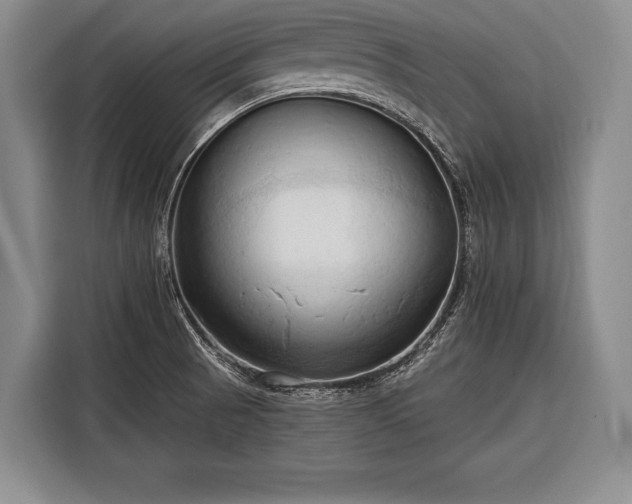 X0000116321521200912091009