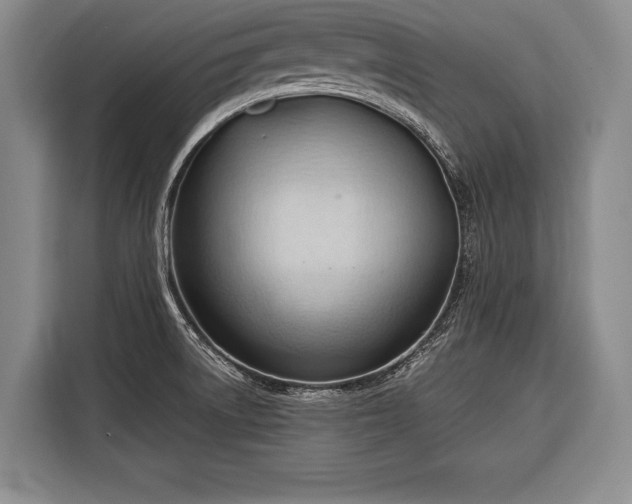 X0000116321522200912091009