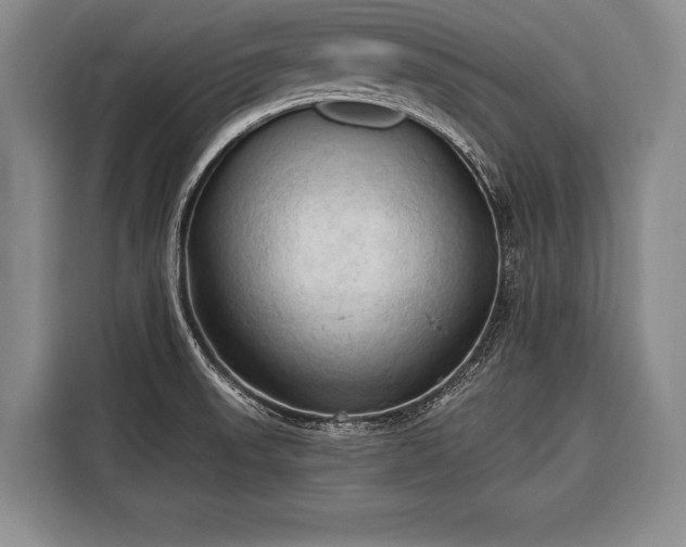 X0000116321523200912091009