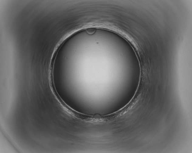 X0000116321525200912091009