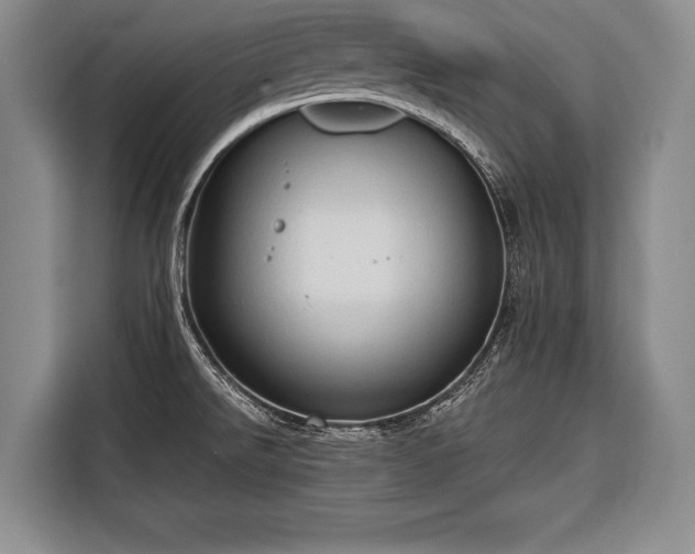 X0000116321526200912091009