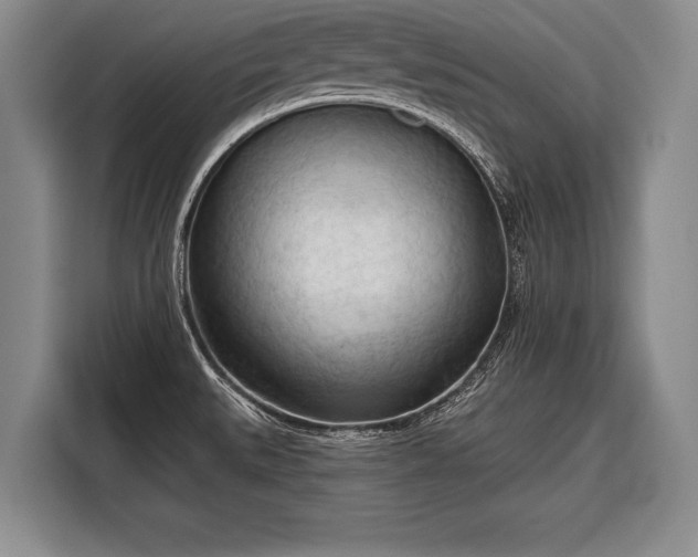 X0000116321527200912091009