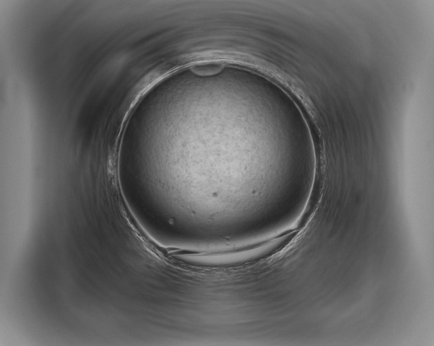 X0000116321529200912091009