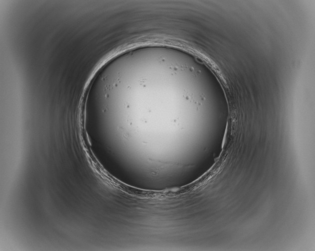 X0000116321530200912091009