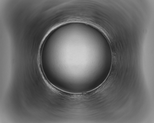 X0000116321531200912091009