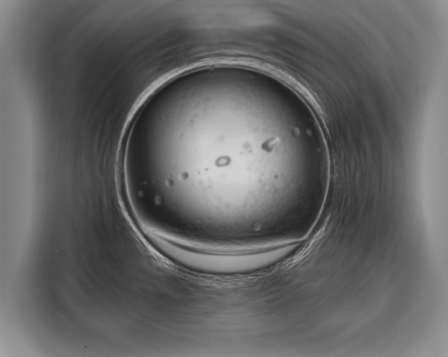 X0000116321533200912091009