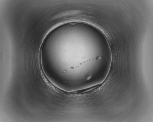 X0000116321534200912091009