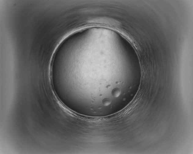 X0000116321535200912091009