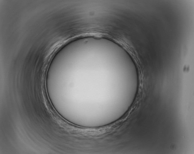 X0000116320001200912151253