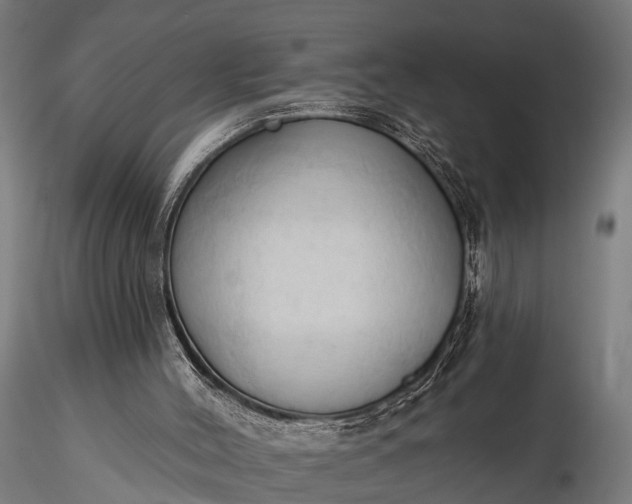 X0000116320004200912151253