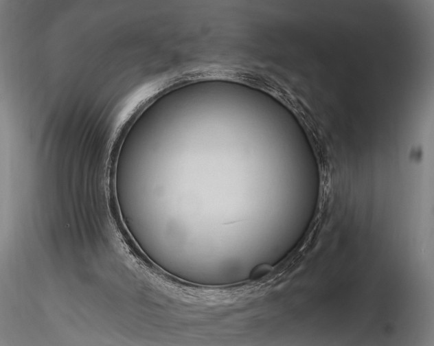 X0000116320006200912151253