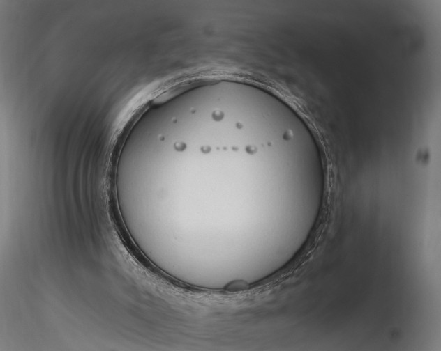 X0000116320007200912151253