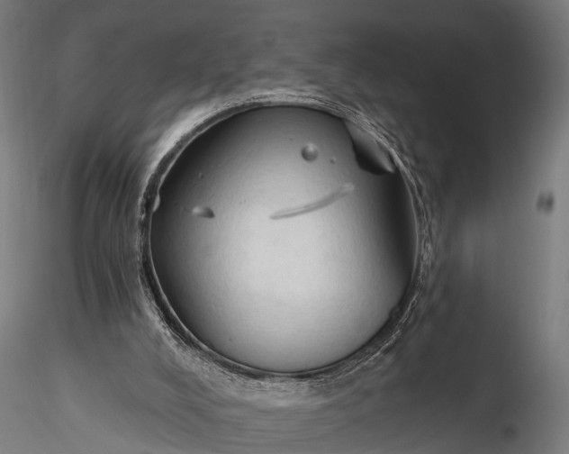 X0000116320008200912151253