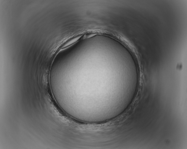 X0000116320009200912151253