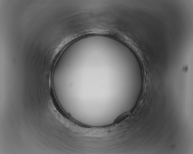 X0000116320011200912151253