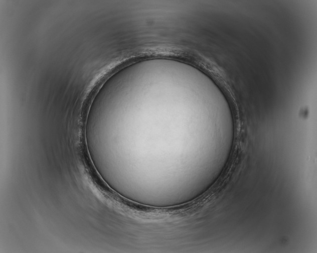 X0000116320012200912151253