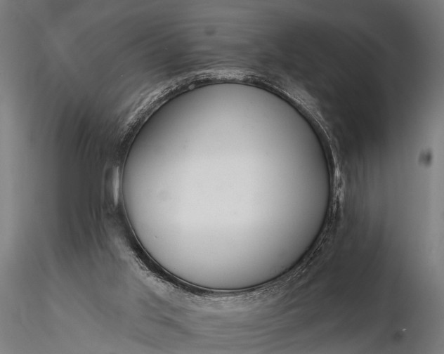 X0000116320013200912151253