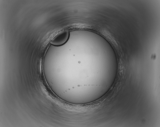 X0000116320014200912151253