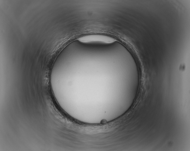 X0000116320017200912151253