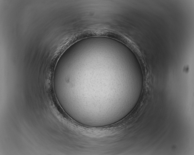 X0000116320018200912151253