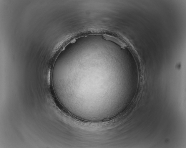 X0000116320019200912151253