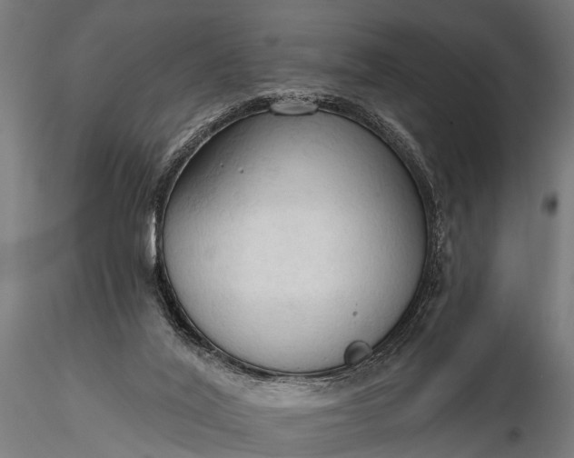 X0000116320020200912151253