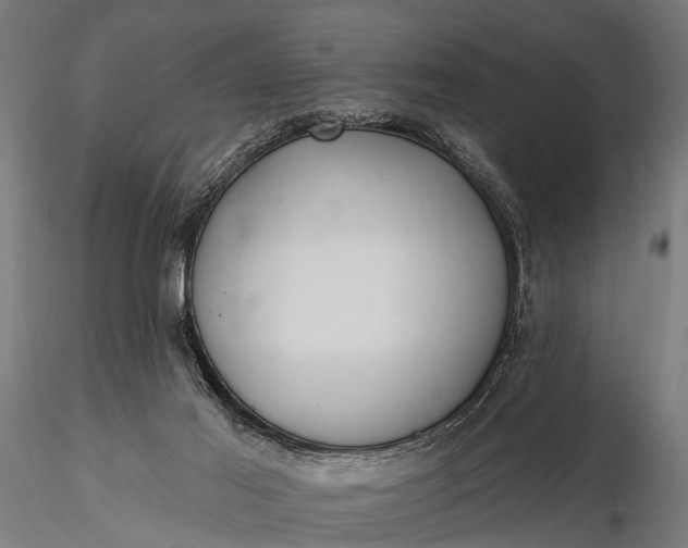 X0000116320021200912151253