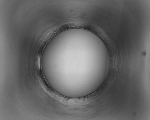 X0000116320022200912151253