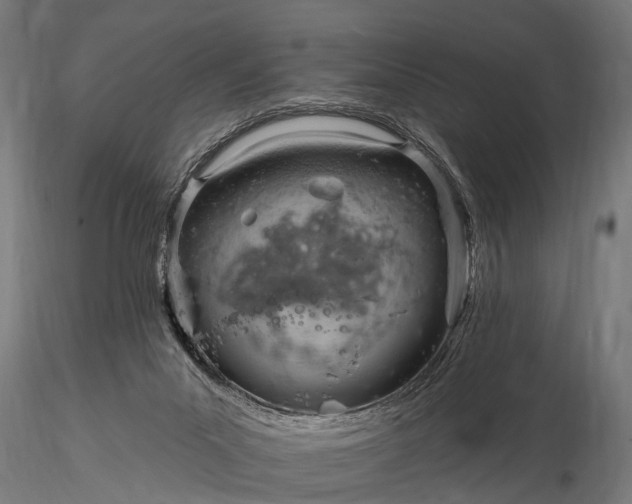 X0000116320023200912151253