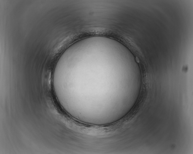 X0000116320024200912151253