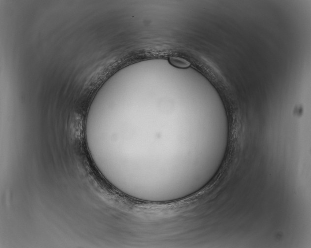 X0000116320025200912151253