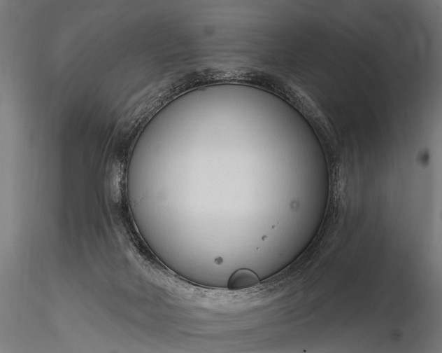 X0000116320026200912151253