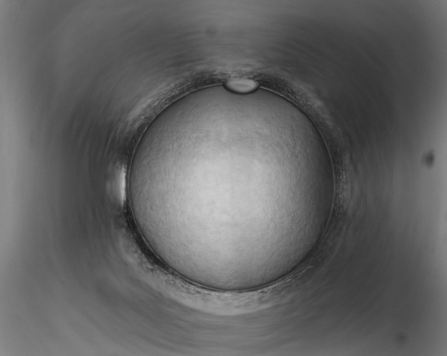 X0000116320027200912151253