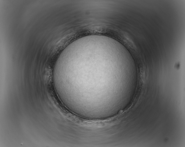 X0000116320029200912151253