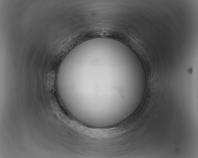 X0000116320030200912151253