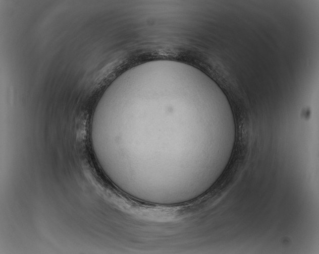 X0000116320032200912151253