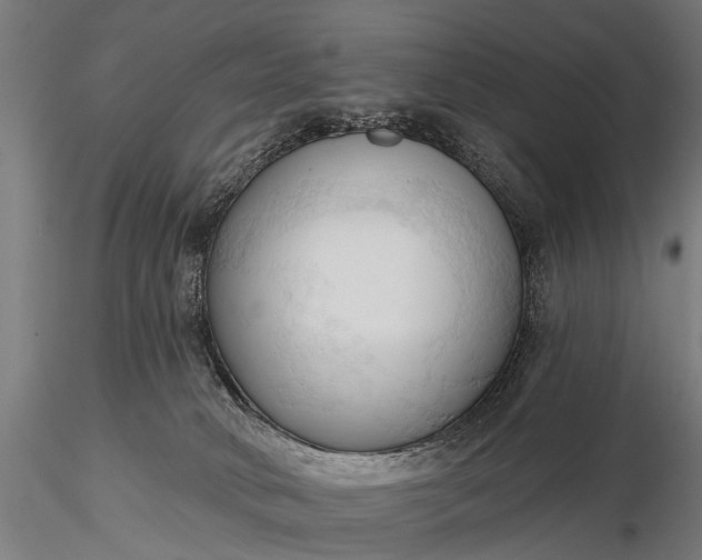 X0000116320034200912151253