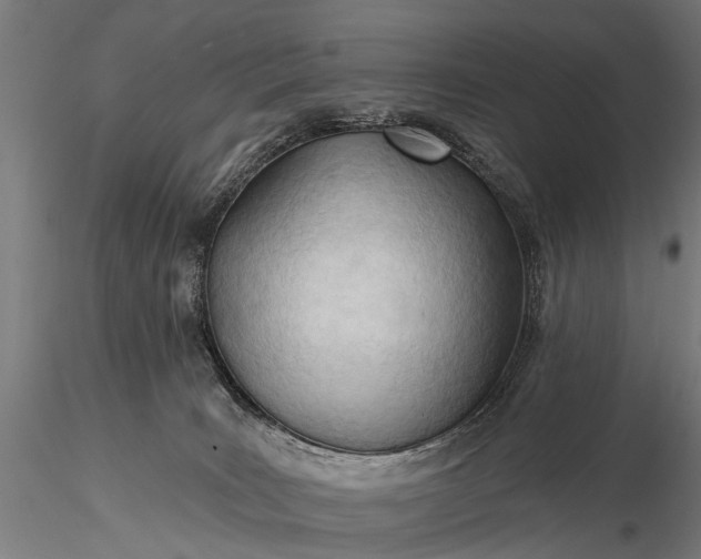 X0000116320035200912151253