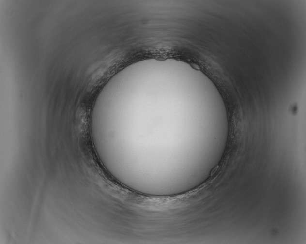 X0000116320037200912151253