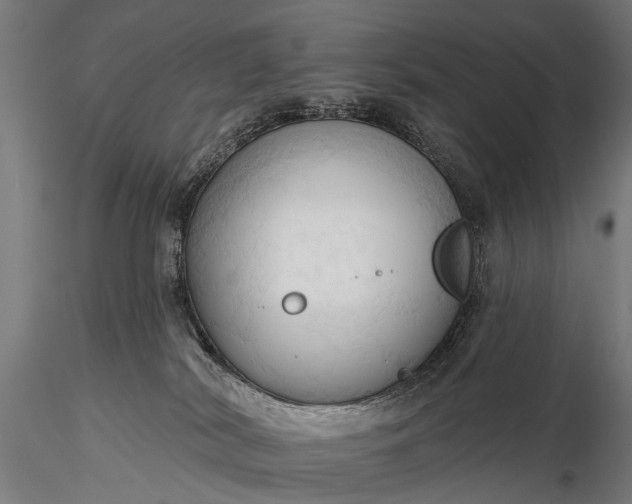 X0000116320038200912151252