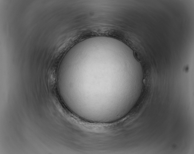 X0000116320040200912151252