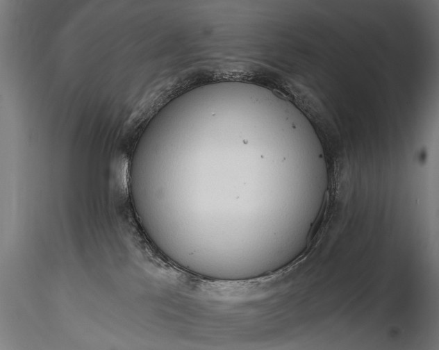 X0000116320041200912151252