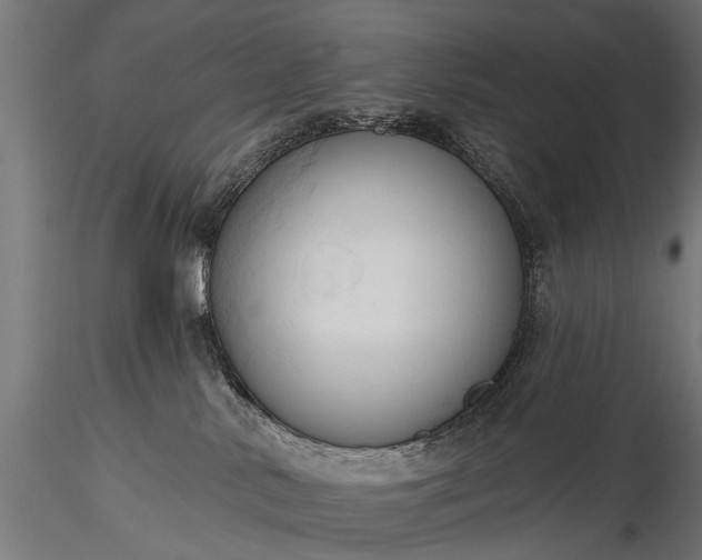 X0000116320042200912151252