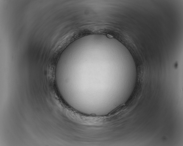 X0000116320044200912151252