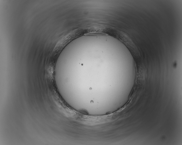 X0000116320045200912151252