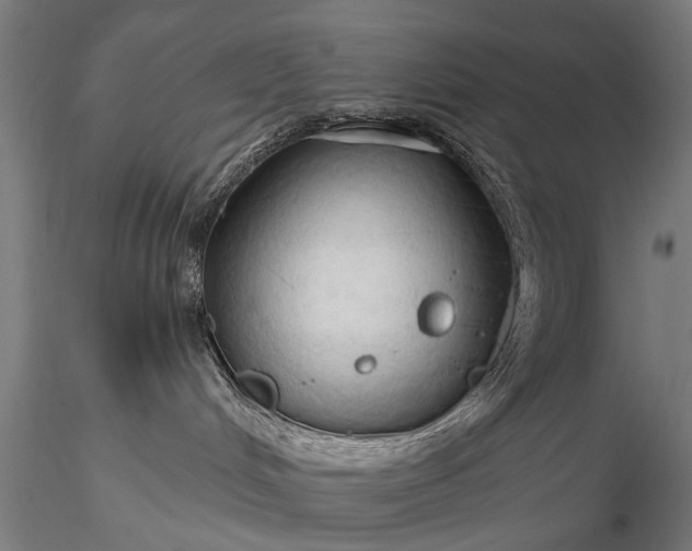 X0000116320048200912151252