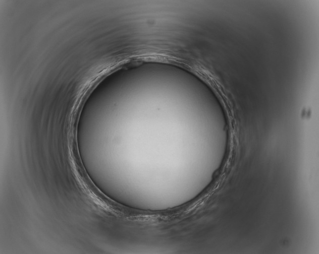 X0000116320049200912151252