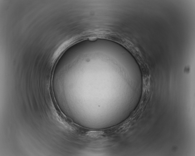 X0000116320051200912151252