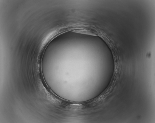 X0000116320053200912151252